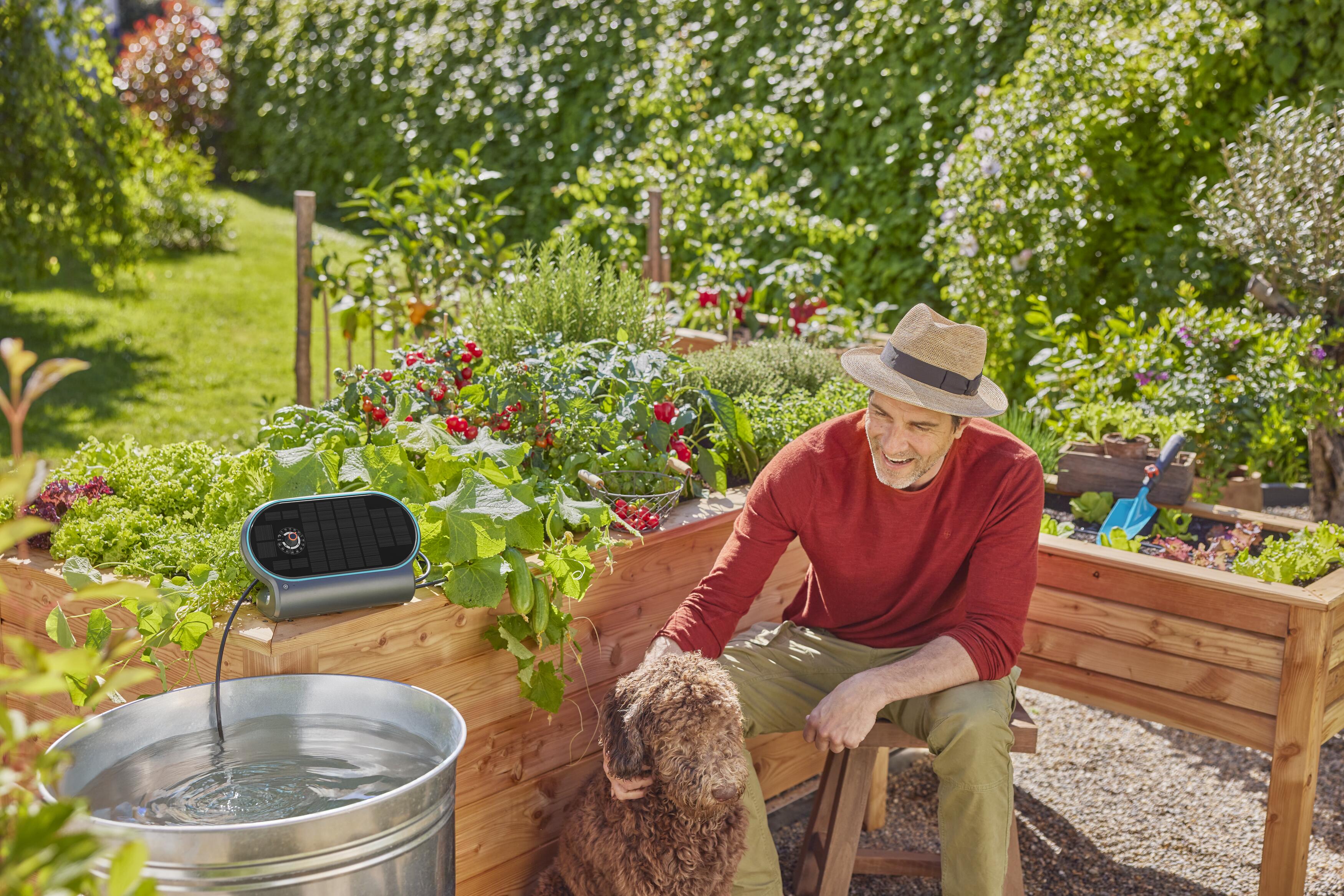 Mann mit Hund im Gemüsegarten, im Hintergrund die GARDENA AquaBloom Bewässerung